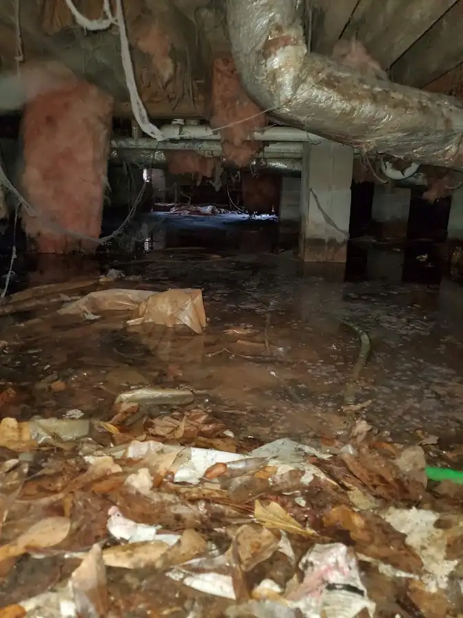 Crawl space flood assessment for Leak Detection & Repair in Rancho Calaveras